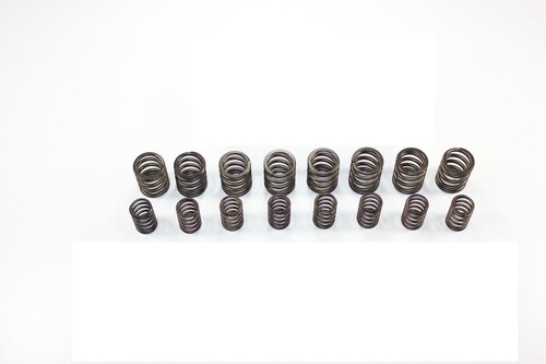 Schrick ventilfedern golf - vw,